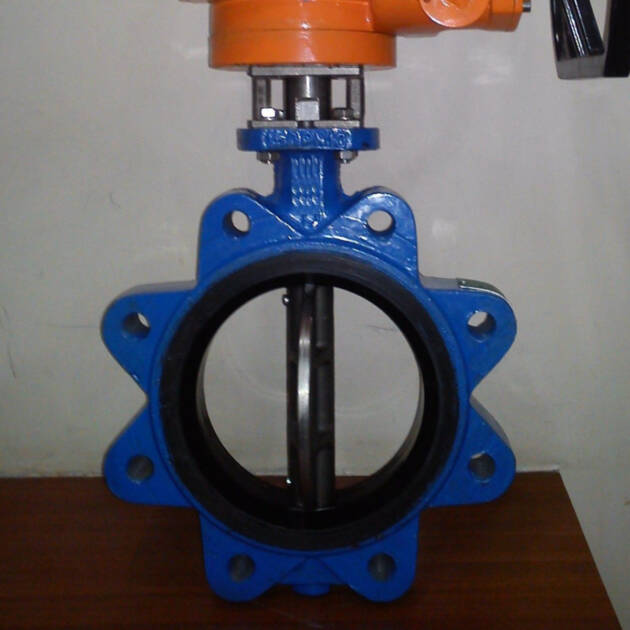 Butterfly Valve
