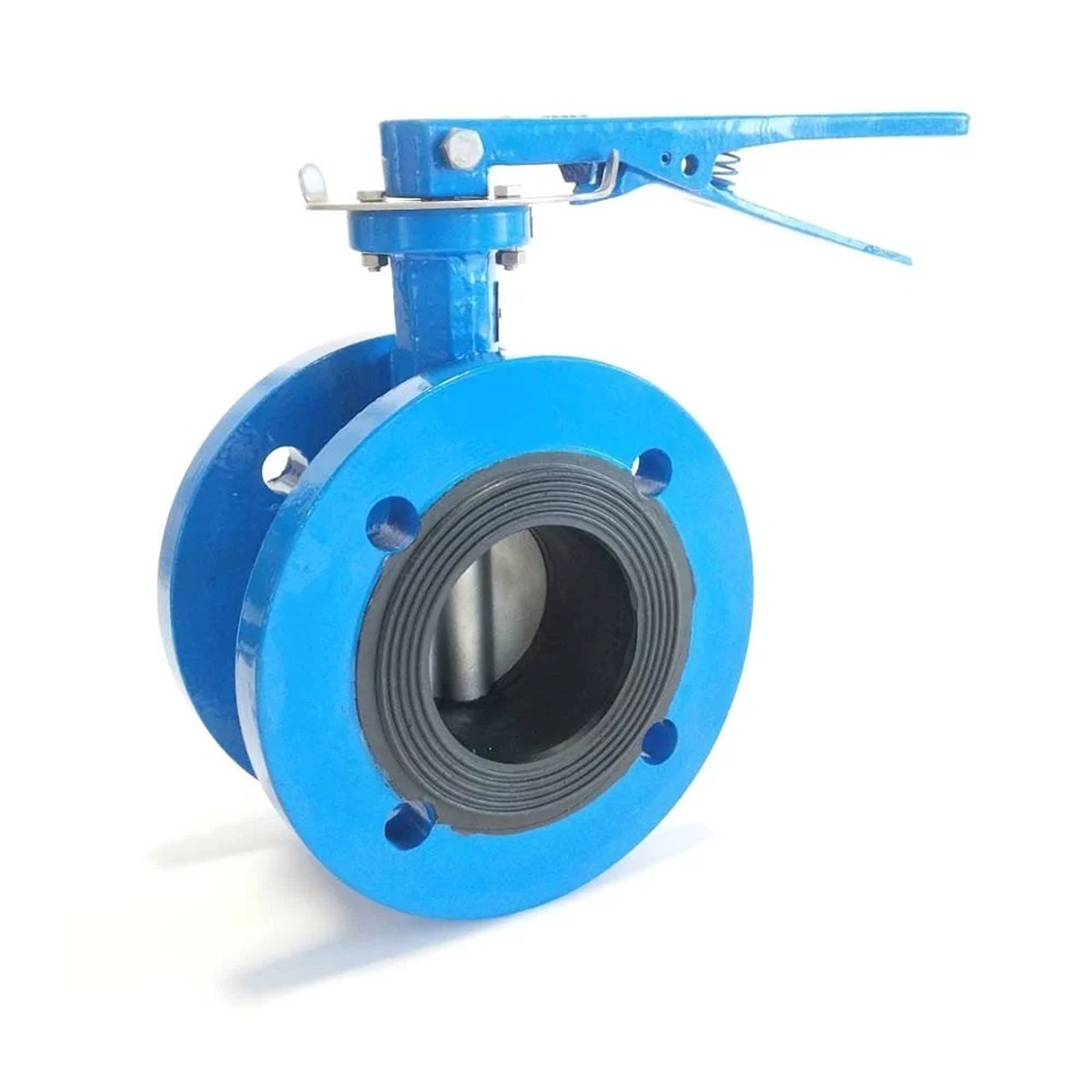 Wafer Type Flange - Image 4